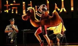 疯狂的疯狂在线观看,揭秘网络世界的疯狂之旅